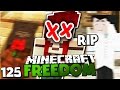 RIP CAMRYN &amp; MEIN SOHN :( &amp; NEUES PROJEKT ✪ Minecraft FREEDO...