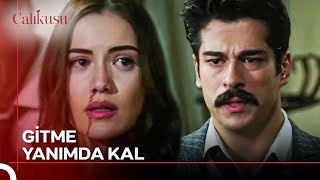 Korkuyorum Kamran Hem De Çok... Çalıkuşu