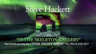 Watch Steve Hackett In The Skeleton Gallery video