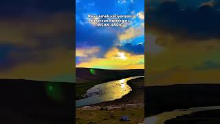 İnsan Hariç