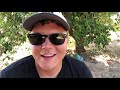 I Found a Sealed Waterproof Box Underwater in the River! (Returned to Owner - With Surprise!)