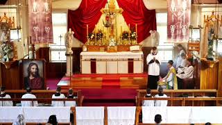 SSPXNZLIVE - Second Sunday after Easter - Sung Mass - 18 April 2021