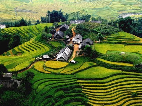 CẢNH ĐẸP VIỆT NAM TỪ BẮC XUỐNG NAM