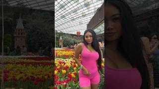 Dome Singapore