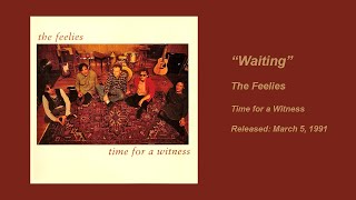 Watch Feelies Waiting video