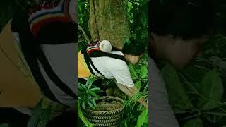 Single Mom Guava Harvesting Super Monkey Style Acrobatic Climb Unique Village Life