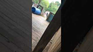 I Recorded My Baby Boy Hugging My Sis