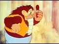 Fleischer