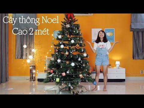 TỰ LÀM CÂY THÔNG NOEL KHỔNG LỒ CAO HƠN CHỊ THƠ