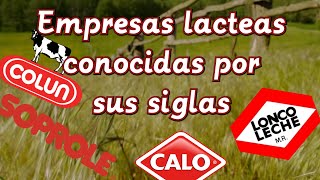 El Significado Y Origen De Algunas Empresas Lacteas De Chile