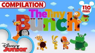 The GIANT Tiny Bunch Compilation | Kids Songs & Nursery Rhymes | 110 Minutes | @