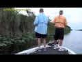 Top Water Bass Fishing - Florida Everglades Bass Fishing Guide John Pate Catching 5 Pound Bass