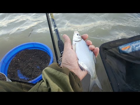 ловля на фидер на водохранилище видео ловля получи и распишись провод держи хранилище влаги видео
