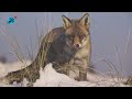 Expositie natuurfotografie Johan Reus en Muriel Polet in Bibliotheek Heiloo