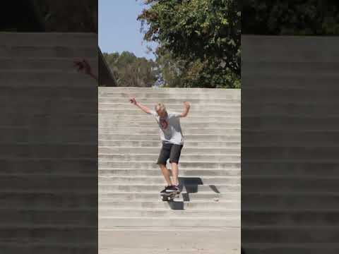 Madar apes fire crackers El Toro