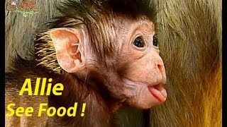 Try Not Laughing ! Funny Face Allie | Allie d0 funny face see food in hands cameraman.