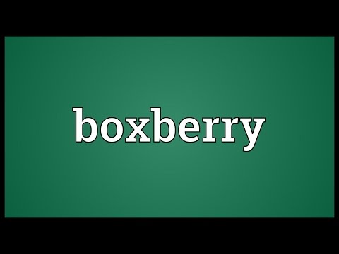 Header of boxberry