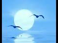 Cien Gaviotas - Duncan Dhu Cien Gaviotas - Duncan Dhu