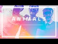 Animals Video preview