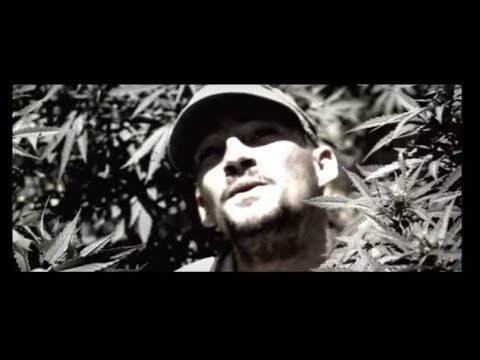 Rainy Days Video