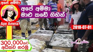 Sri lankan Main Fish market visit