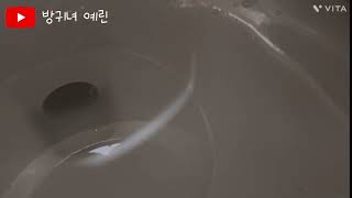 변기방귀