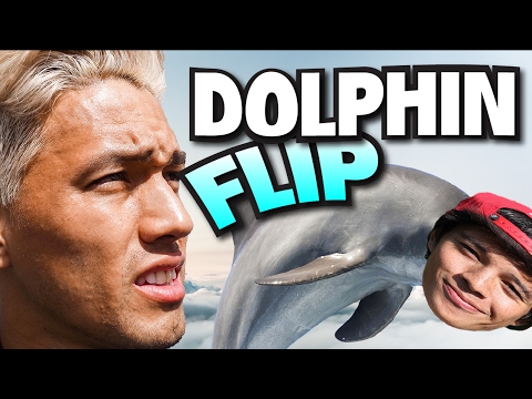 THE TRUTH ABOUT DOLPHIN FLIPS...