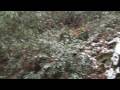 Waterfall in Snow - Mingo Falls, Cherokee, NC - HD