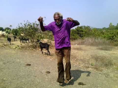 Pappi de