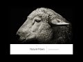 fibers