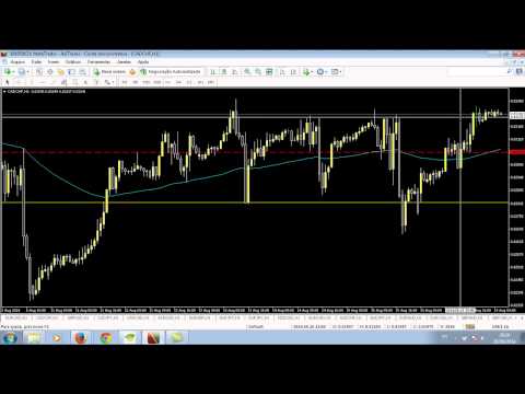 Curso stock options