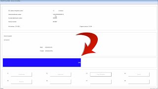 How To Use INPA & WINKFP To Update Modules On Your BMW