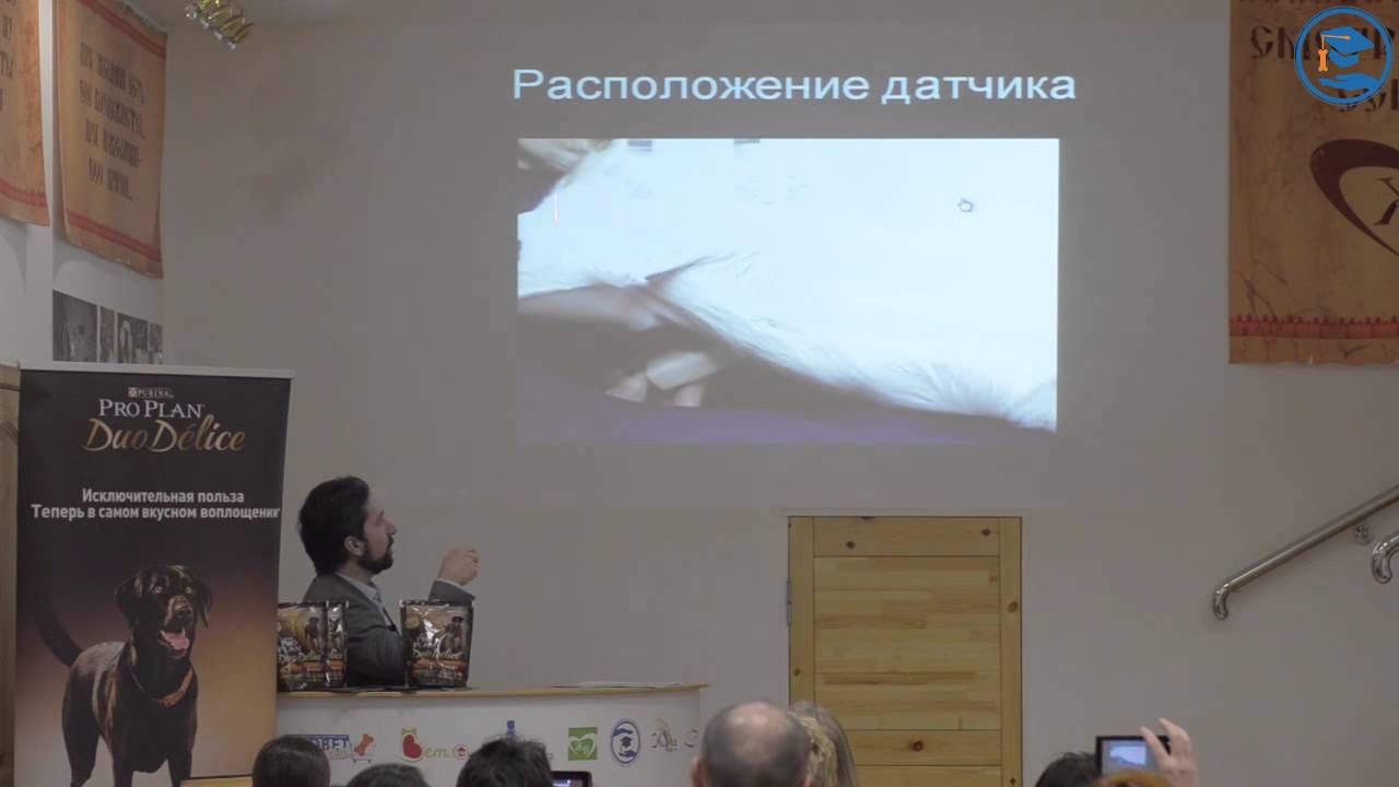 ветеринарный врач вакансии ветеринарный врач вакансии