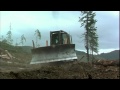 View Clearcut (1991)