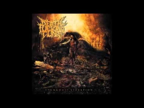 Rectal Gorge Video