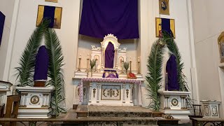 6th Sunday of Lent - PALM SUNDAY