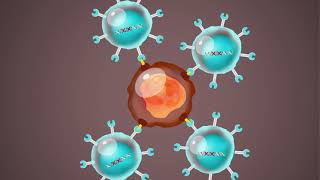 Ask Ruby What Are Cytokines?