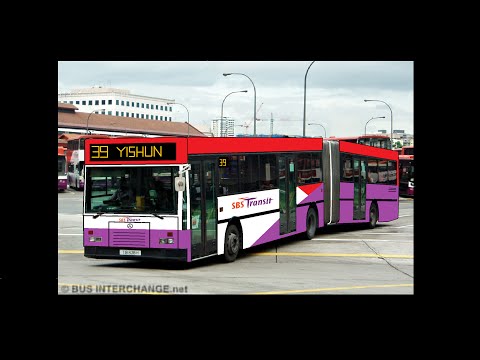 buses part 4 essay buses part 4 essay