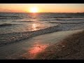 YouTube動画M7I8adXlAV0
