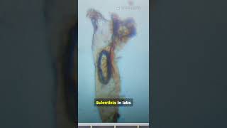 Biochemistry Language Microbes Use And Humans Translate Into Cures