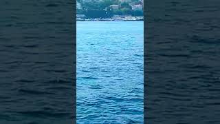 Hezin Status Videosu
