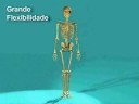 Os ossos - youtube