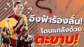 อิงฟ้าร้องลั่น! โดนแกล้งด้วย "ตะขาบ" 𝙄 พลังใบ 𝙍𝙚𝙖𝙡𝙞𝙩𝙮