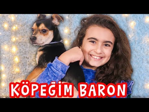 YENฤฐ KรPEฤฤฐM BARON ฤฐLE TANIลIN | Umikids Mira