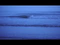 Vagues luminescentes - Rodolphe de Decker