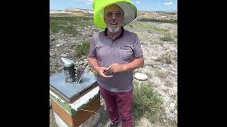 Bi̇r Arinin Serüveni̇