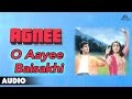 Agnee : O Aayee Baisakhi Full Audio Song | Amrita Singh, Mithun Chakraborty, Mandakini |