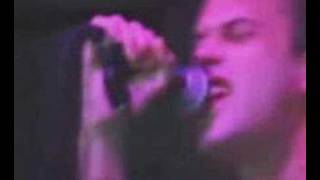 Watch Screeching Weasel 21 Months video