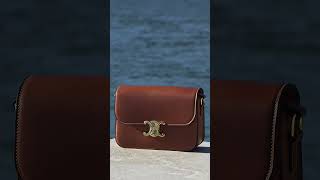 Été Celine - Celine Triomphe Bag