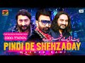 Pindi De Shahzaday | Mazhar Rahi | (Official Video) | Tp Gold